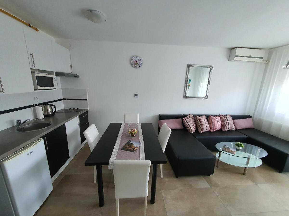 Apartment Vesna Toplice Sveti Martin 圣马丁娜穆里 外观 照片