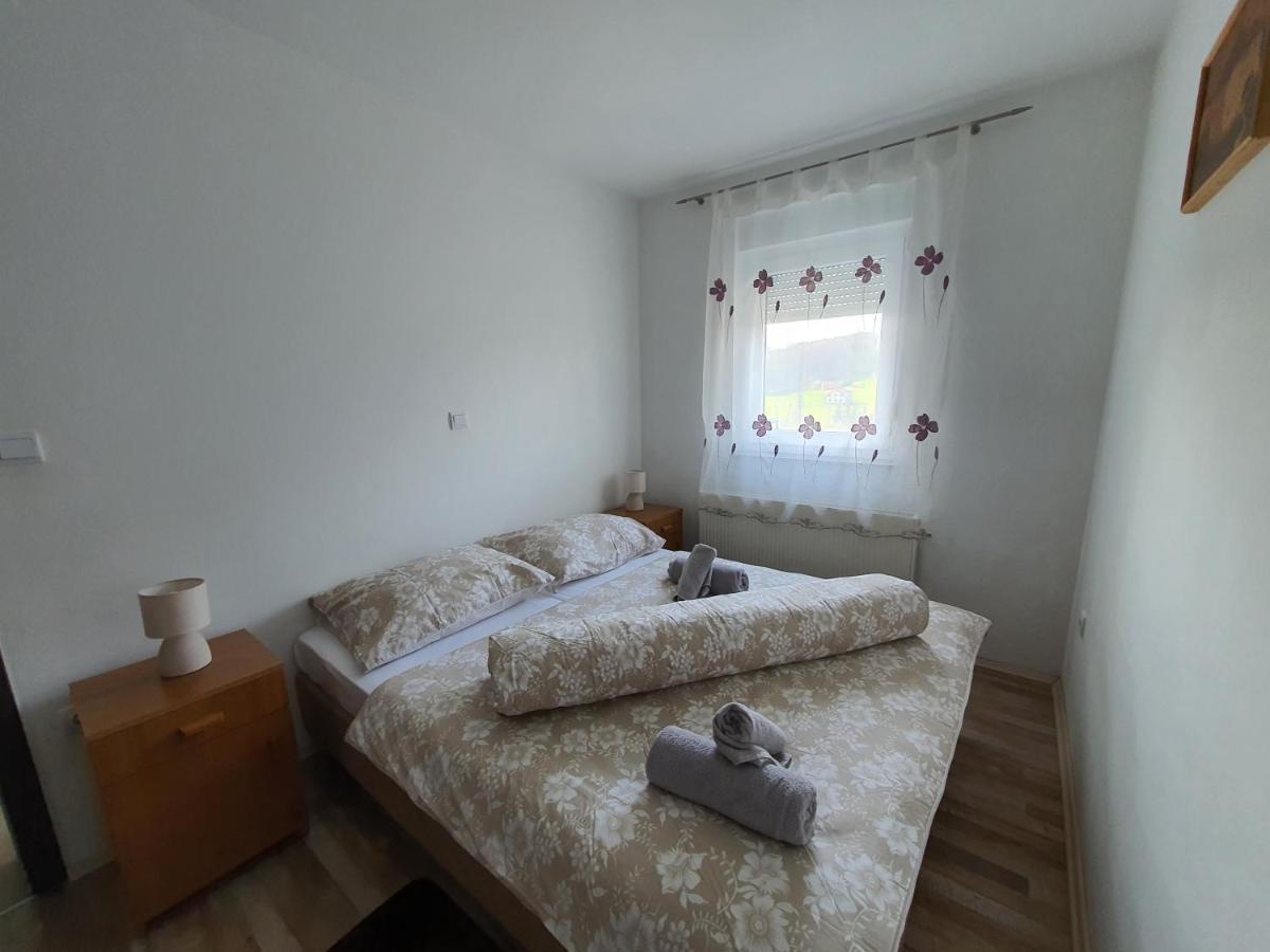 Apartment Vesna Toplice Sveti Martin 圣马丁娜穆里 外观 照片